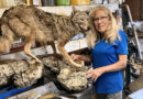 Meet Maggie Rathje, Taxidermist