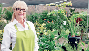 In a poll, 75 percent of U.S. workers said they believe “work is the new retirement”