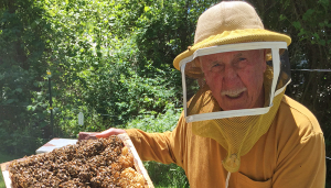 Jim Howard working at his apiary in Oswego. He is also shown at the inset.