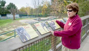 Ellenrose Galgano has been volunteering at Rosamond Gifford Zoo in Syracuse for 28 years. Her colleagues affectionately call her the zoo lady or Mrs. Zookeeper.