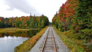 Adirondack Scenic Railroad gives you a chance to enjoy the season’s foliage. Round-trip rides include stops at restaurants and points of interest.