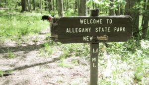 The Finger Lakes main trail starts just over the state line in Pennsylvania in Allegany State Park. It runs east for 575 miles to the Catskill Forest Preserve.