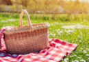The Best Picnic Places in CNY