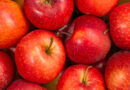 Enjoy Apple Season